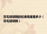 羽毛球球網(wǎng)的標(biāo)準(zhǔn)高度是多少（羽毛球球網(wǎng)）