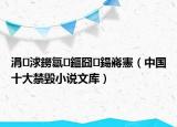 涓浗鐒氱鏂囧鍚嶈憲（中國(guó)十大禁毀小說(shuō)文庫(kù)）