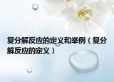 復分解反應的定義和舉例（復分解反應的定義）
