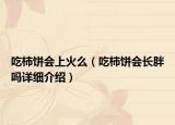 吃柿餅會(huì)上火么（吃柿餅會(huì)長(zhǎng)胖嗎詳細(xì)介紹）