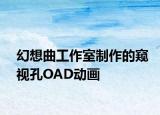 幻想曲工作室制作的窺視孔OAD動(dòng)畫
