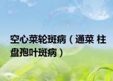 空心菜輪斑?。ㄍú?柱盤孢葉斑?。? /></span></a>
                        <h2><a href=