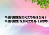 本是同根生相煎何太急是什么詩（本是同根生 相煎何太急是什么意思）
