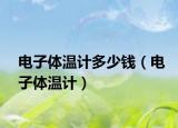 電子體溫計多少錢（電子體溫計）