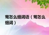 鶯怎么組詞語（鶯怎么組詞）