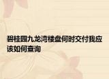 碧桂園九龍灣樓盤何時交付我應(yīng)該如何查詢