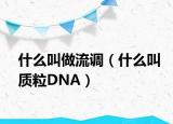 什么叫做流調(diào)（什么叫質(zhì)粒DNA）
