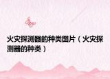火災(zāi)探測器的種類圖片（火災(zāi)探測器的種類）