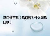 馬口鐵百科（馬口鐵為什么叫馬口鐵）