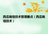 西瓜栽培技術(shù)管理要點（西瓜栽培技術(shù)）