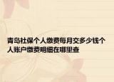 青島社保個(gè)人繳費(fèi)每月交多少錢(qián)個(gè)人賬戶繳費(fèi)明細(xì)在哪里查