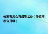 傳家寶怎么升級(jí)到120（傳家寶怎么升級(jí)）