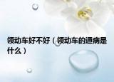 領(lǐng)動(dòng)車好不好（領(lǐng)動(dòng)車的通病是什么）