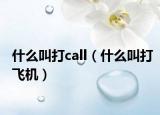 什么叫打call（什么叫打飛機）