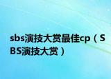sbs演技大賞最佳cp（SBS演技大賞）