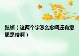 鬣蜥（這兩個字怎么念啊還有意思是啥?。? /></span></a>
                        <h2><a href=