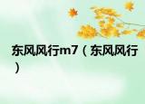 東風風行m7（東風風行）