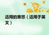 適用的意思（適用于英文）