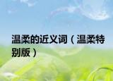 溫柔的近義詞（溫柔特別版）