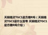 天貓精靈TGC1是方糖R嗎（天貓精靈TGC1是什么型號(hào) 天貓精靈TGC1是方糖R嗎介紹）