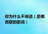 你為什么不說話（是哪首歌的歌詞）