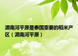湄南河平原是泰國重要的稻米產(chǎn)區(qū)（湄南河平原）