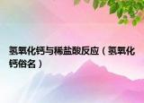氫氧化鈣與稀鹽酸反應（氫氧化鈣俗名）