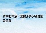 青中心青浦一套房子多少錢誰能告訴我
