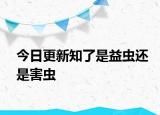今日更新知了是益蟲還是害蟲