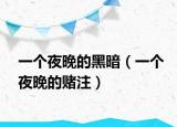 一個夜晚的黑暗（一個夜晚的賭注）