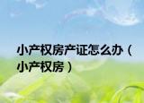 小產(chǎn)權(quán)房產(chǎn)證怎么辦（小產(chǎn)權(quán)房）