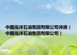 中國海洋石油集團(tuán)有限公司待遇（中國海洋石油集團(tuán)有限公司）