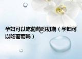 孕婦可以吃葡萄嗎初期（孕婦可以吃葡萄嗎）