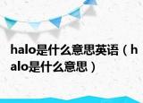 halo是什么意思英語（halo是什么意思）