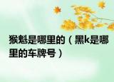 猴魁是哪里的（黑k是哪里的車牌號(hào)）