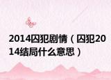2014囚犯劇情（囚犯2014結(jié)局什么意思）
