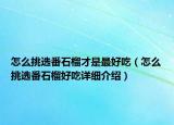 怎么挑選番石榴才是最好吃（怎么挑選番石榴好吃詳細介紹）