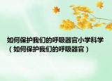 如何保護我們的呼吸器官小學(xué)科學(xué)（如何保護我們的呼吸器官）