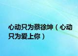心動(dòng)只為蔡徐坤（心動(dòng)只為愛上你）