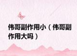 偉哥副作用?。▊ジ绺弊饔么髥幔? /></span></a>
                        <h2><a href=
