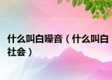 什么叫白噪音（什么叫白社會(huì)）
