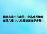 魏晨未來小兒難養(yǎng)（小兒難養(yǎng)魏晨在第幾集 小兒難養(yǎng)魏晨在多少集）