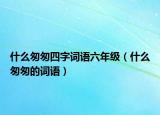 什么匆匆四字詞語六年級（什么匆匆的詞語）