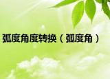 弧度角度轉(zhuǎn)換（弧度角）