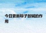 今日更新粽子放堿的作用