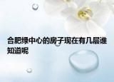 合肥綠中心的房子現(xiàn)在有幾層誰知道呢