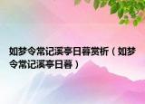 如夢令常記溪亭日暮賞析（如夢令常記溪亭日暮）
