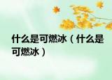 什么是可燃冰（什么是可燃冰）