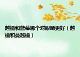越橘和藍莓哪個對眼睛更好（越橘和蔓越橘）