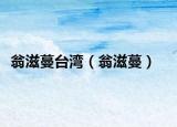 翁滋蔓臺灣（翁滋蔓）